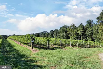 1025 Good Luck Road, Kilmarnock, VA 22482 - Photo 24