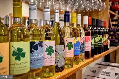 1025 Good Luck Road, Kilmarnock, VA 22482 - Photo 38