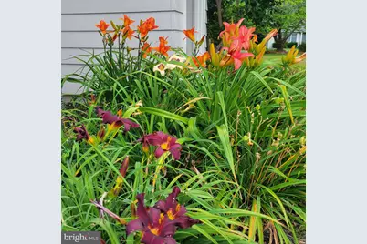 519 White Hall Road, Lancaster, VA 22503 - Photo 42