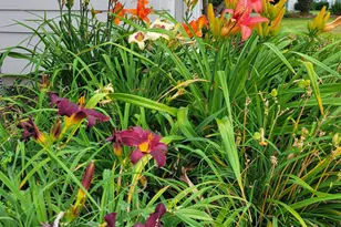 519 Whitehall Rd, Lancaster, VA 22503 - Photo 42