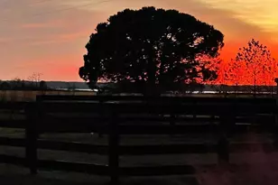 519 Whitehall Rd, Lancaster, VA 22503 - Photo 44