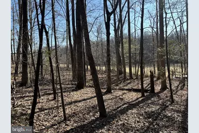 Tbd Duet Road, Madison, VA 22727 - Photo 2