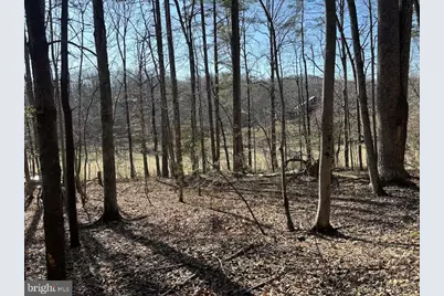 Tbd Duet Road, Madison, VA 22727 - Photo 1