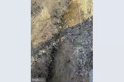 Tbd Duet Road, Madison, VA 22727 - Photo 8