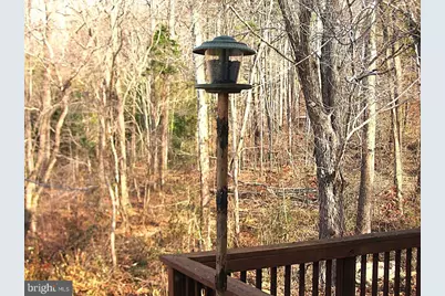 33 E Circle Road, Madison, VA 22727 - Photo 16