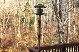 33 E Circle Rd, Madison, VA 22727 - Photo 16