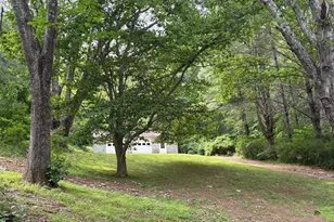 60 Mountain Breeze Ln, Syria, VA 22743 - Photo 54