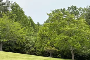 60 Mountain Breeze Ln, Syria, VA 22743 - Photo 70