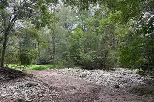 60 Mountain Breeze Ln, Syria, VA 22743 - Photo 92