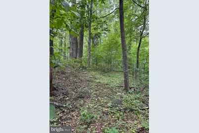 60 Mountain Breeze Lane, Syria, VA 22743 - Photo 80