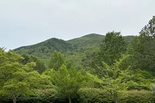 60 Mountain Breeze Ln, Syria, VA 22743 - Photo 72