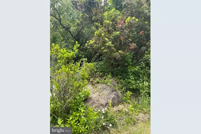 60 Mountain Breeze Lane, Syria, VA 22743 - Photo 60