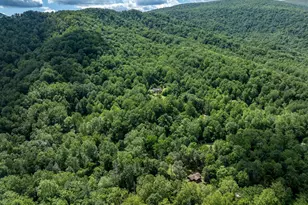 60 Mountain Breeze Ln, Syria, VA 22743 - Photo 42