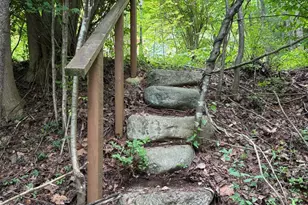 60 Mountain Breeze Ln, Syria, VA 22743 - Photo 66