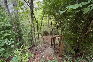 60 Mountain Breeze Ln, Syria, VA 22743 - Photo 64