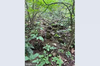 60 Mountain Breeze Lane, Syria, VA 22743 - Photo 82