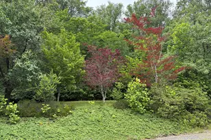 60 Mountain Breeze Ln, Syria, VA 22743 - Photo 76