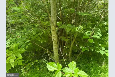 Tbd Mount Pisgah Church Dr, Orange, VA 22960 - Photo 14