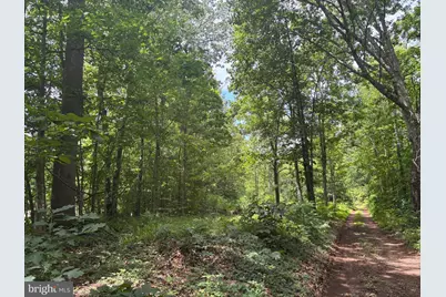 Tbd Mount Pisgah Church Dr, Orange, VA 22960 - Photo 10