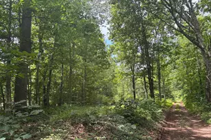 Tbd Mount Pisgah Church Dr, Orange, VA 22960 - Photo 10