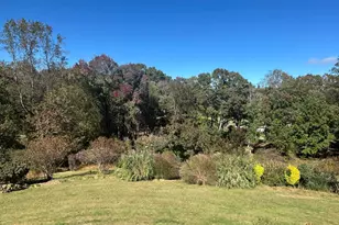 481 Malvern Dr, Madison, VA 22727 - Photo 32