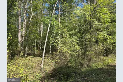 Poorhouse Rd, Madison, VA 22727 - Photo 2