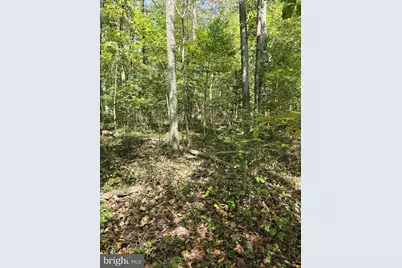 Poorhouse Rd, Madison, VA 22727 - Photo 4
