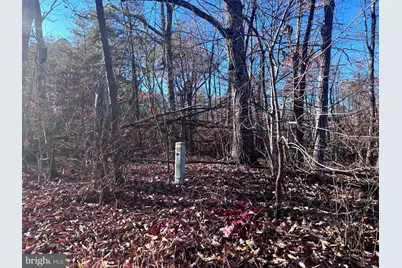 0 Main Uno Baptist Church Lane, Rochelle, VA 22738 - Photo 2