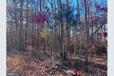 0 Main Uno Baptist Church Lane, Rochelle, VA 22738 - Photo 10