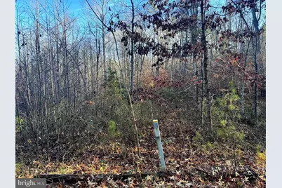 0 Buggy Lane, Rochelle, VA 22738 - Photo 6