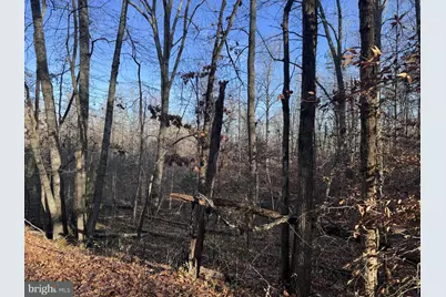 0 Buggy Lane, Rochelle, VA 22738 - Photo 4