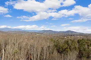 161 Persimmon, Madison, VA 22727 - Photo 30