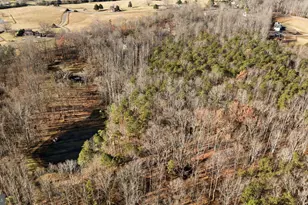 161 Persimmon, Madison, VA 22727 - Photo 38