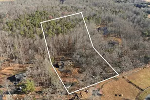 161 Persimmon, Madison, VA 22727 - Photo 44