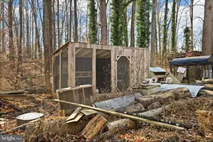 161 Persimmon, Madison, VA 22727 - Photo 48