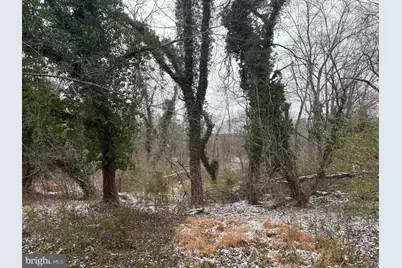 0 Main, Madison, VA 22727 - Photo 8