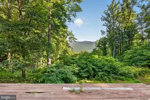 453 Lost Valley Rd, Madison, VA 22727 - Photo 44