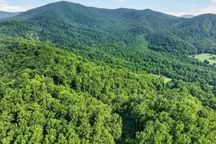 453 Lost Valley Rd, Madison, VA 22727 - Photo 52