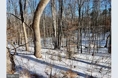 00 Mt Zion Church Road, Madison, VA 22727 - Photo 20