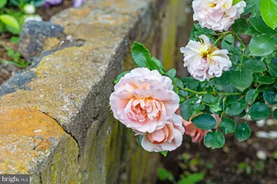 1830 Thrift Road, Madison, VA 22727 - Photo 48