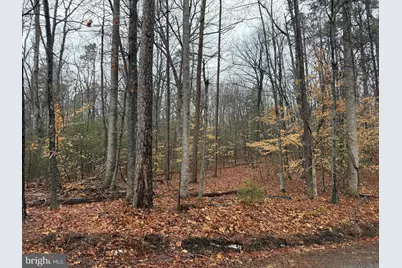 0 Tatum School Road, Madison, VA 22727 - Photo 1