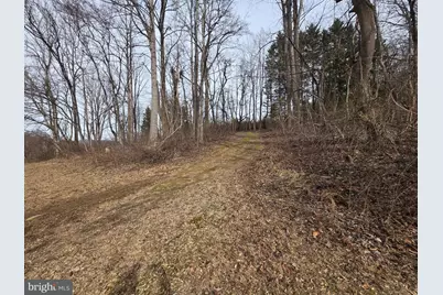 2996 Etlan Road, Etlan, VA 22719 - Photo 22