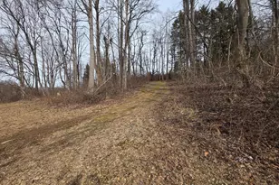 2996 Etlan Rd, Etlan, VA 22719 - Photo 22