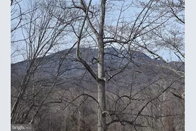 2996 Etlan Road, Etlan, VA 22719 - Photo 24