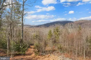 1823 Desert Rd, Haywood, VA 22722 - Photo 28