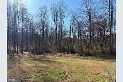 1041 George James Loop, Radiant, VA 22732 - Photo 8