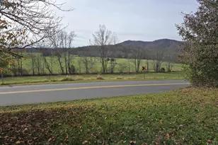 1358 Graves Mill Rd, Madison, VA 22727 - Photo 18