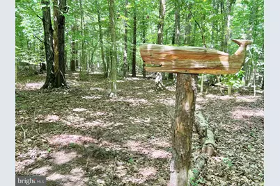 4601 S. Blue Ridge Turnpike, Rochelle, VA 22738 - Photo 32