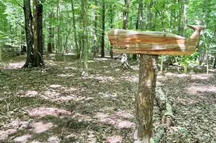 4601 S Blue Ridge Turnpike, Rochelle, VA 22738 - Photo 32