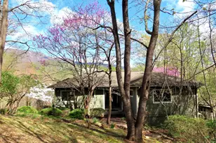 3016 Etlan, Etlan, VA 22719 - Photo 38